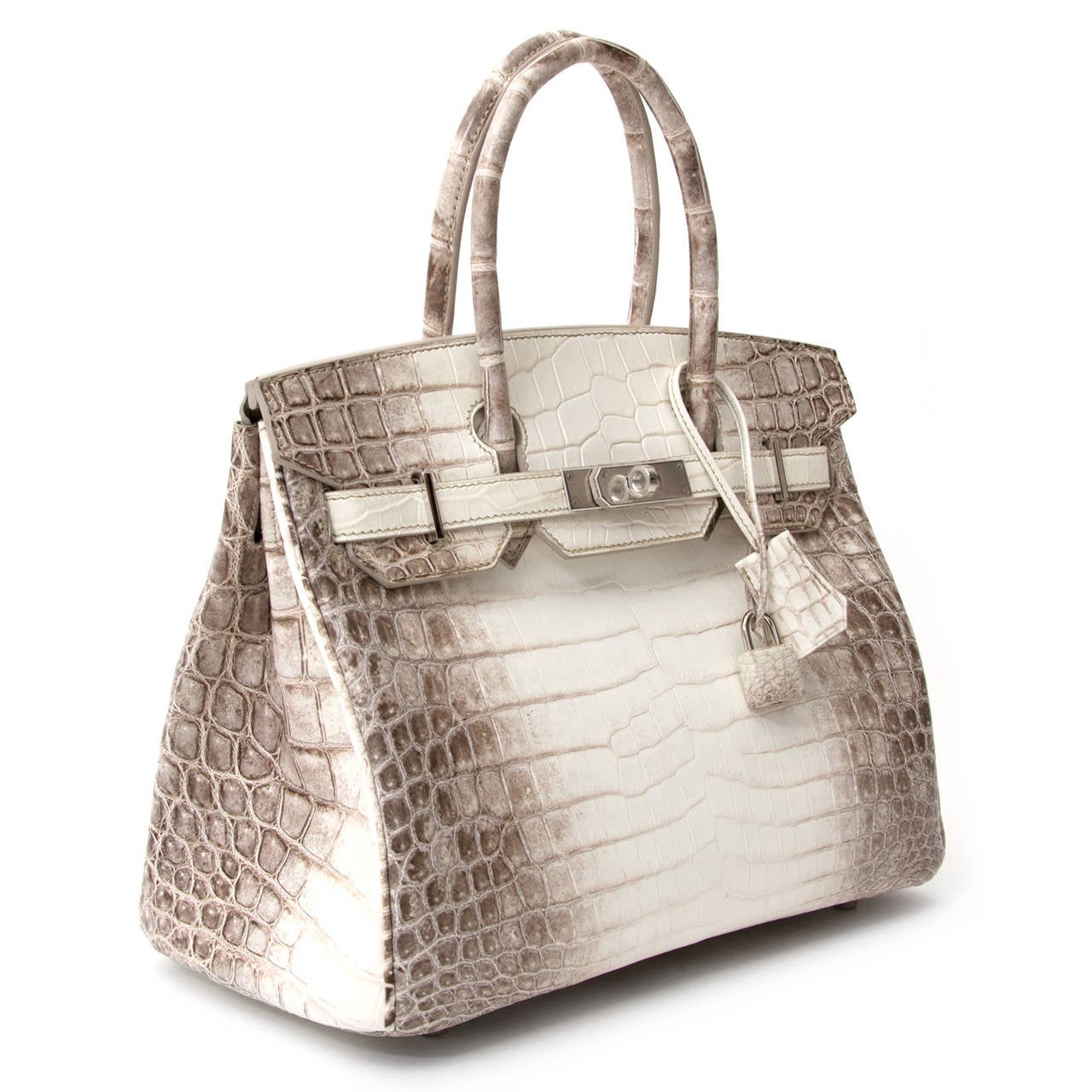 Hermès Birkin Bag Crocodile Niloticus Himalaya Handbag White PHW 30 at 1stdibs